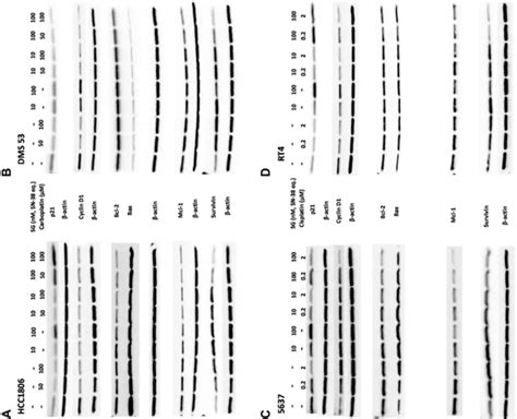 Figure 2 [image] Eurekalert Science News Releases