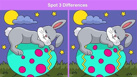 Spot 3 Differences Between The Bunny Sleeping On Easter Egg Pictures In