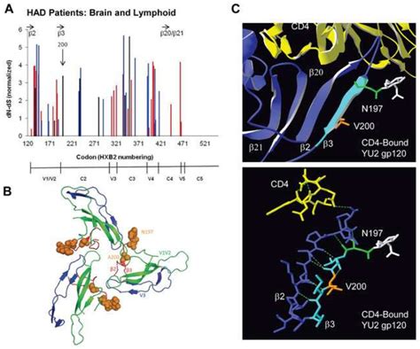 Figure 1 From Bioinformatic Analysis Of Neurotropic Hiv Envelope