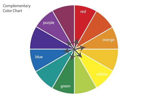 Color Matters How Choosing The Right Colors Can Make Your Photos Better