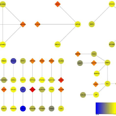 Protein Protein Interaction Network Of Degs Nodes Represent Proteins