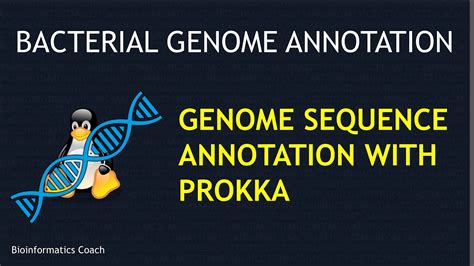 Prokka Tutorial Genome Assembly Contigs Annotation Bacterial Genomes