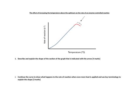 Temperature And Enzyme Activity Edexcel Int A Level Biology Teaching