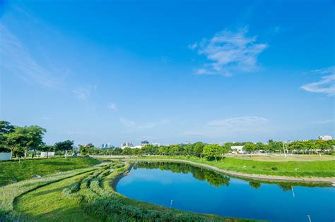 臺中市政府建設局 建設新聞 年節野餐、踏青首選 台中中央公園歡迎民眾賞樹、賞花