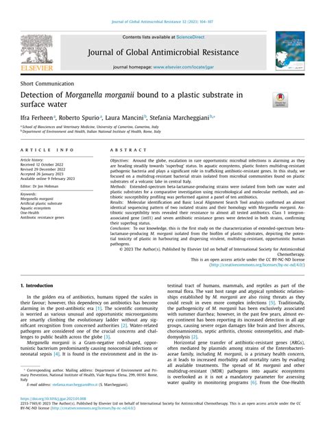 PDF Detection Of Morganella Morganii Bound To A Plastic Substrate In