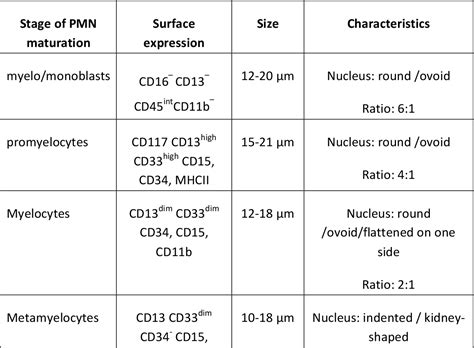 Table 1 From Identification Of CD Marker Expression And Neutrophil