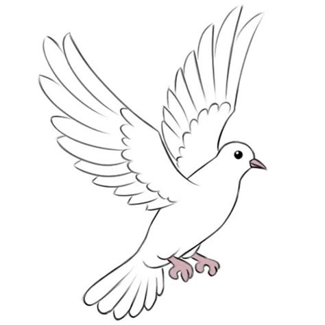 Simple Drawing Of Dove