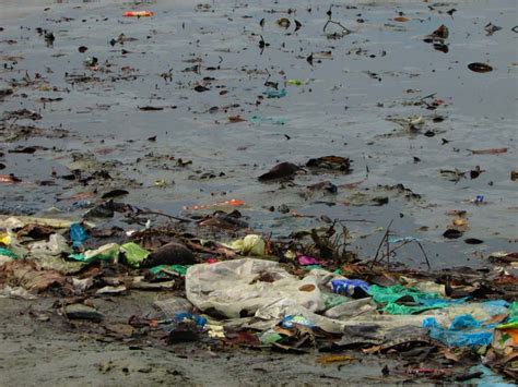 200 Nelayan Pantai Permatang Tepi Laut Diancam Pencemaran Persatuan