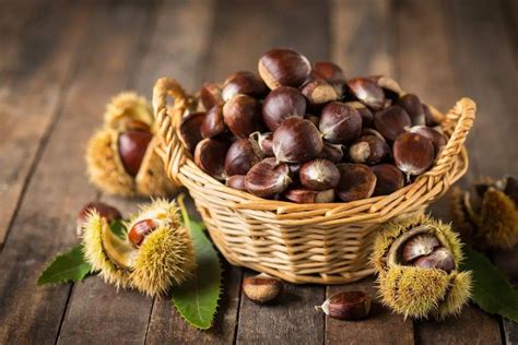 Come Conservare Le Castagne Fresche A Lungo Guida Sicilia