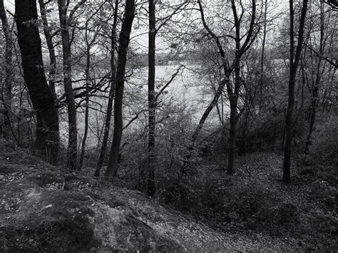 Lakeside Amselchen Flickr