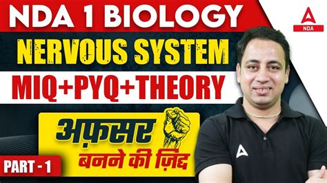 Nda Science Classes Biology Nervous System For Nda