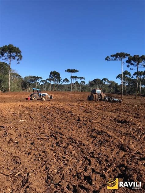 Fazenda Alqueires Venda Em General Carneiro Ravili Im Veis