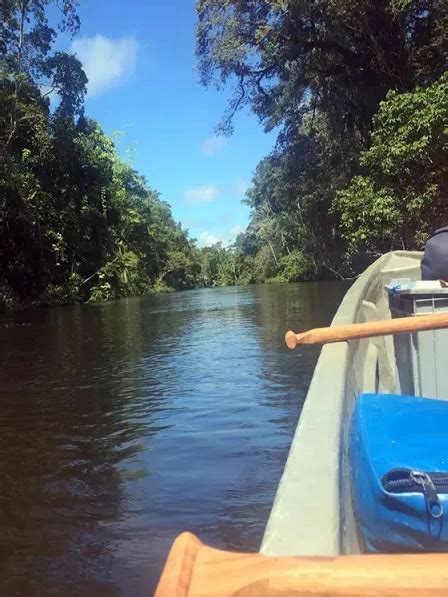 Discover the Fascinating Ecuadorian Tribes in the Amazon - Lodges Ecuador