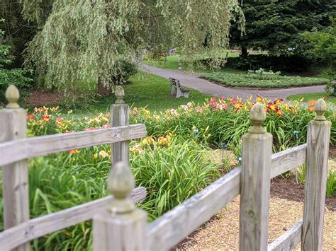 Cutler Botanic Garden Cornell Cooperative Extension American