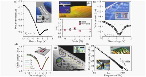 Graphene Based Flexible And Wearable Electronics