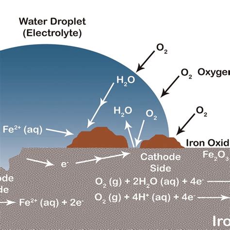 Corrosion of iron metal. | Download Scientific Diagram