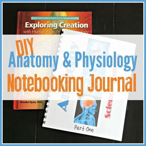 How To Make Physiology Journal