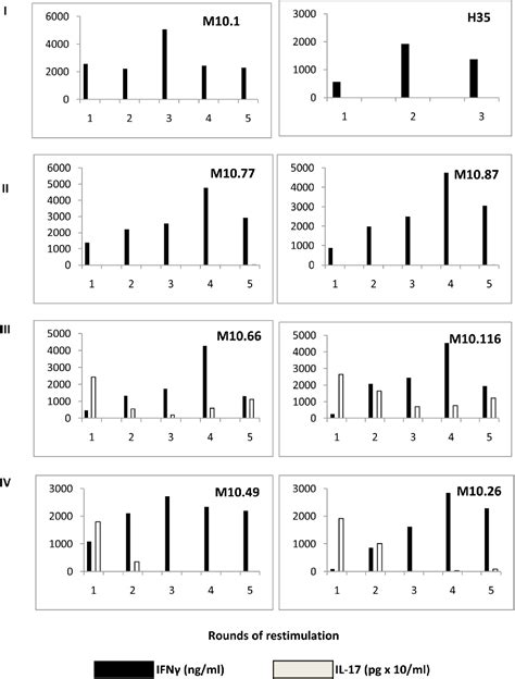 Figure 2 From Encephalitogenic T Cells That Stably Express Both T Bet