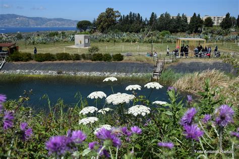 Parco Ecolandia Approdo Calabria