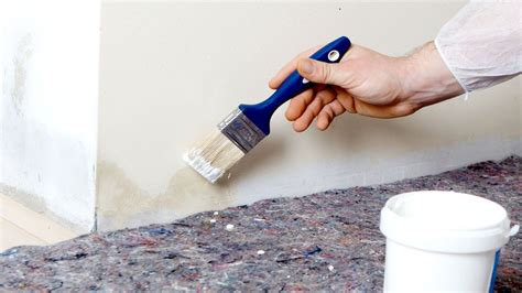 Portray Over Damp The Best Way To Paint Over Damp Correctly