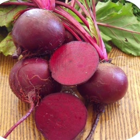 beet detroit dark red great american seed
