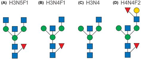 Depiction Of N Glycan Structures For Compositions That Are Mentioned In