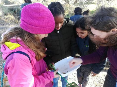 Finalitzat El Projecte Rius Inspeccions De Tardor Consell Comarcal