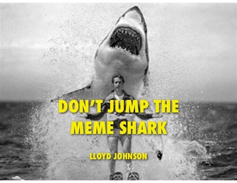 Don't Jump The Meme Shark