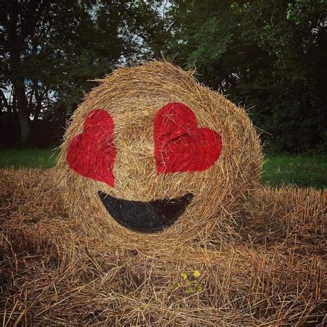 Valentine drawing, Hay bale art, Hay bale decorations