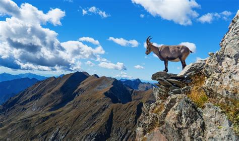 Randonnées dans les Alpes du Sud Allibert Trekking