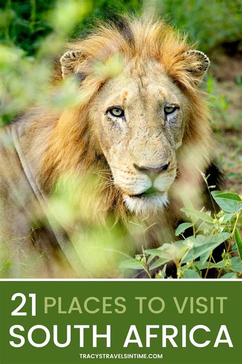 South Africa Bucket List 21 Best Places To Visit In South Africa