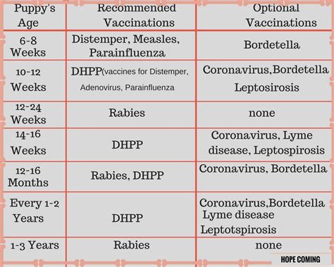 Puppy Vaccination Schedule | Examples and Forms