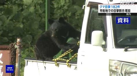 県内 クマの目撃件数182件 市街地の割合増加｜nhk 山形県のニュース