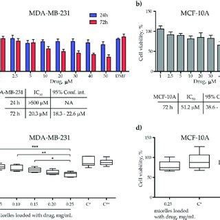 Immunofluorescence of α tubulin of MDA MB 231 and MCF 10A cell lines