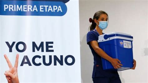 La Nueva Cepa Del Coronavirus Llega A Am Rica Latina Preguntas Para