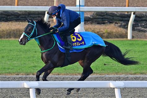 【東京大賞典・追い切り】ドゥラエレーデはウッドで鋭伸ラスト11・6秒 池添調教師「程よく行きっぷりも良く、動きも問題ない」（東スポ競馬）｜d