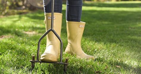 Lawn Aeration Guide: How and When to Aerate Your Lawn - Lawn Chick