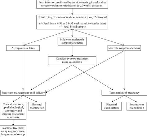 Isuog Practice Guidelines Role Of Ultrasound In Congenital Infection