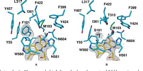 Figure From University Of Groningen Structure Based Engineering Of