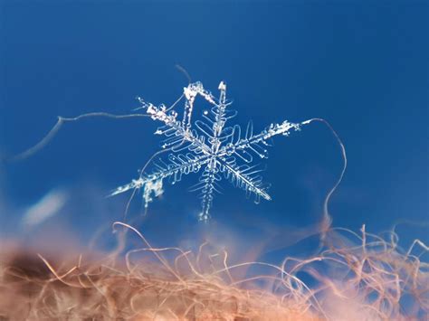 学拍微距：捕捉 “冬之精灵”雪花，雪花微距拍摄全攻略 哔哩哔哩