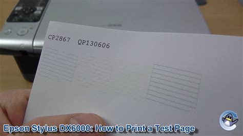 Epson Stylus Dx6000 How To Print A Nozzle Check Test Page Youtube