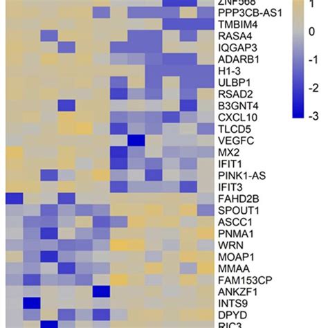 Heatmap Of Top 20 Upregulated And 20 Downregulated Genes In The