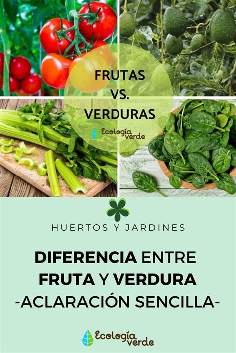 Diferencia Entre Fruta Y Verdura ¡aclaración Sencilla Frutas Y