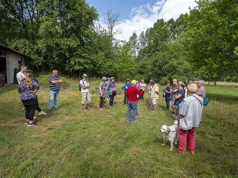 Pian Di Spagna E Lago Mezzola Una Giornata Nella Riserva Naturale