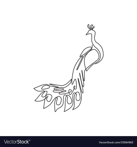 Single continuous line drawing pretty peacock Vector Image