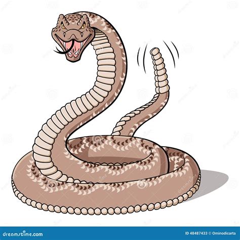 Rattlesnake Stock Vector Image 48487433