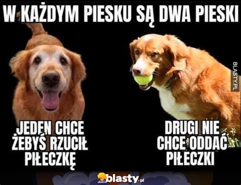 Mem W Pilka Najlepsze Mieszne Memy I Demotywatory Facebook Pilka