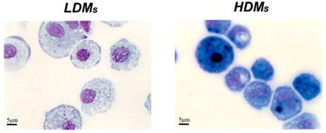 Biomedicines Special Issue Macrophages In Health And Non Infectious