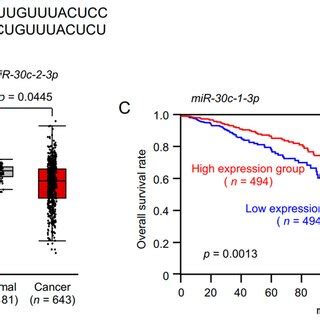 Clinical Significance Of Seven Targets In BrCa Specimens KaplanMeier