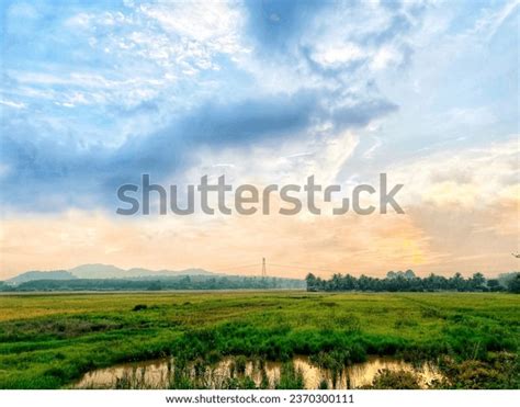 2,548 Sunrise Over Paddy Field Images, Stock Photos, 3D objects ...